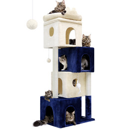 FC61 Cat Condos(White Blue,61-inch)