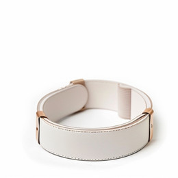 DH005 Dog Collar