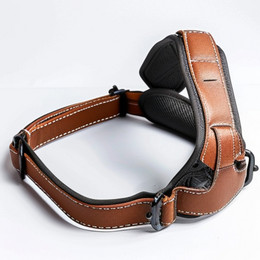 DH002 Dog Harness