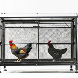 FAH004 Chicken Coop