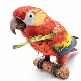 BT004 Bird Chew Toy