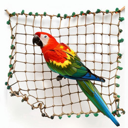 BT002 Bird Climbing Net 