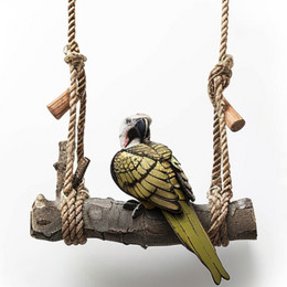 BT001 Bird Swing