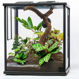 RT002 Reptile Terrarium