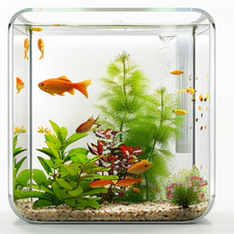 FA001 Fish Aquarium