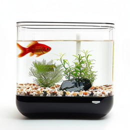 FA003 Fish Aquarium