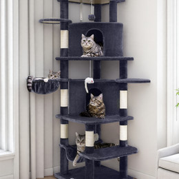 C66 Large Cat Tower(Dark Gray,66-inch)